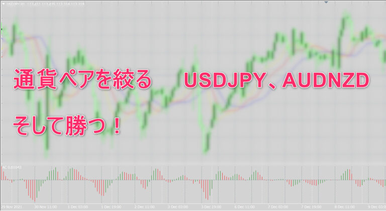 FXトレードで通貨ペアを一つに絞って勝てるってホント？